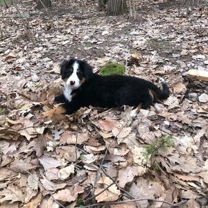 Meet your Posher, Kinsy